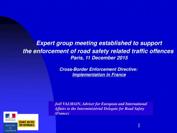 Expert group meeting established to support