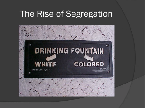 The Rise of Segregation