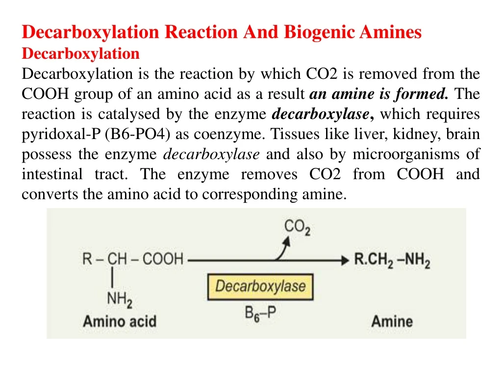 decarboxylation reaction and biogenic amines