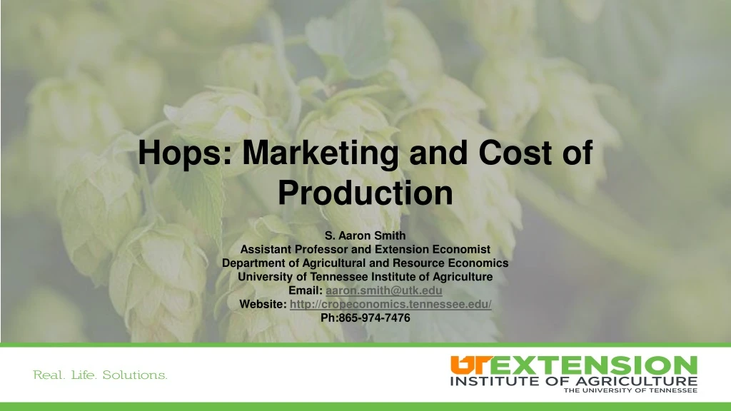 hops marketing and cost of production