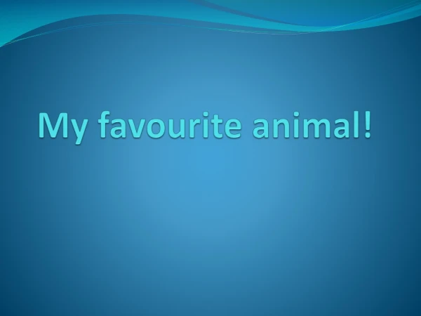 My favourite animal!