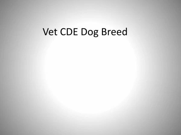 Vet CDE Dog Breed