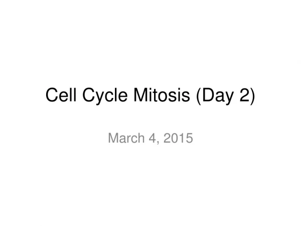 Cell Cycle Mitosis (Day 2)