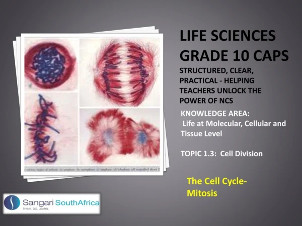 KNOWLEDGE AREA: Life at Molecular, Cellular and Tissue Level TOPIC 1.3: Cell Division