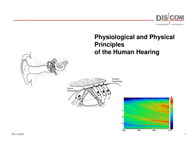 Physiological and Physical Principles of the Human Hearing
