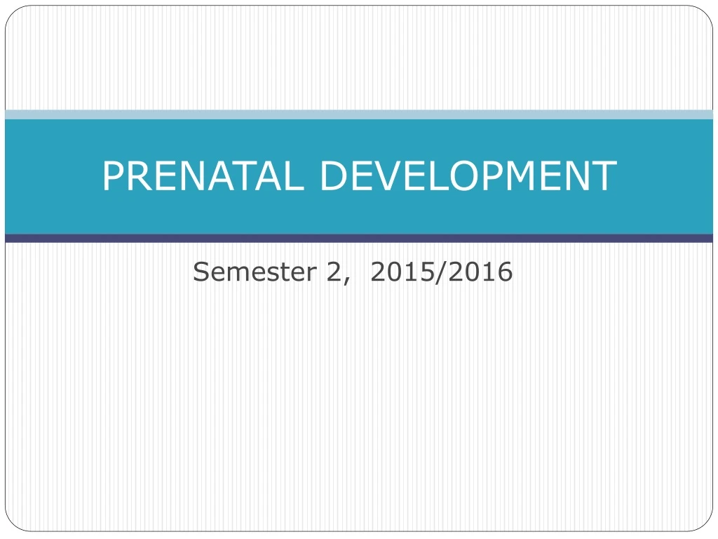 prenatal development