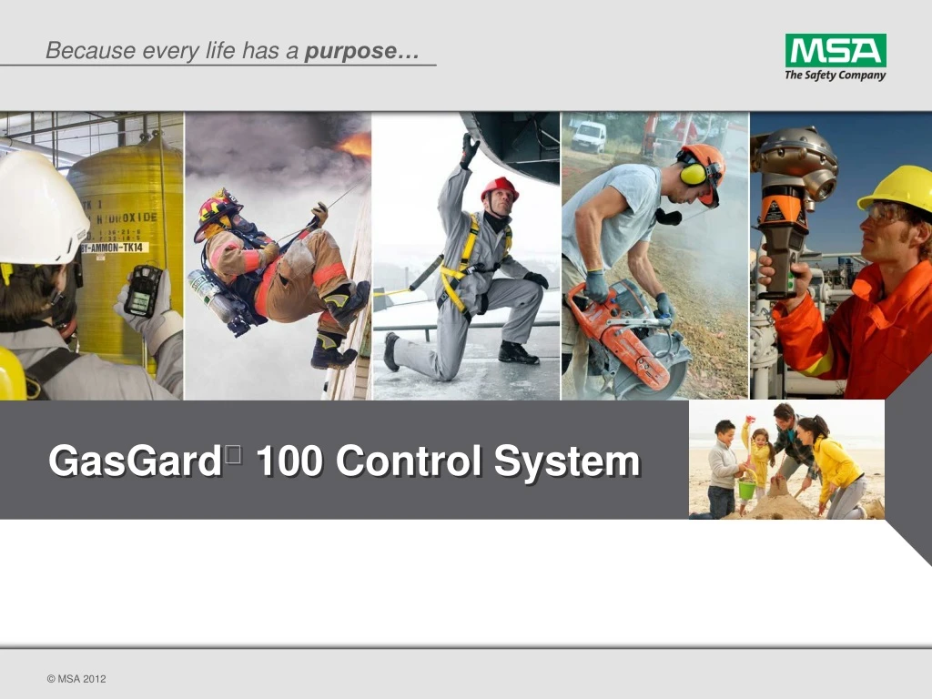 gasgard 100 control system