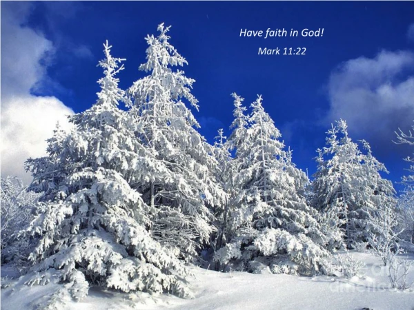 Have faith in God! Mark 11:22