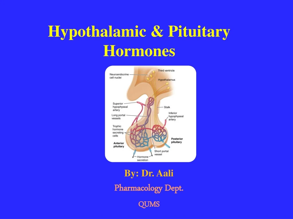 hypothalamic pituitary hormones