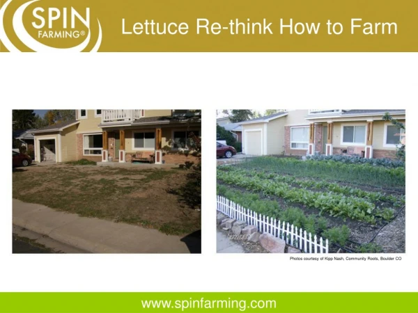 Lettuce Re-think How to Farm