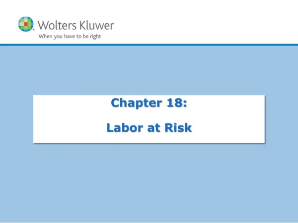 Chapter 18: Labor at Risk