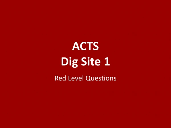 ACTS Dig Site 1