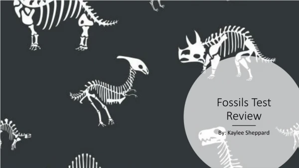 Fossils Test Review