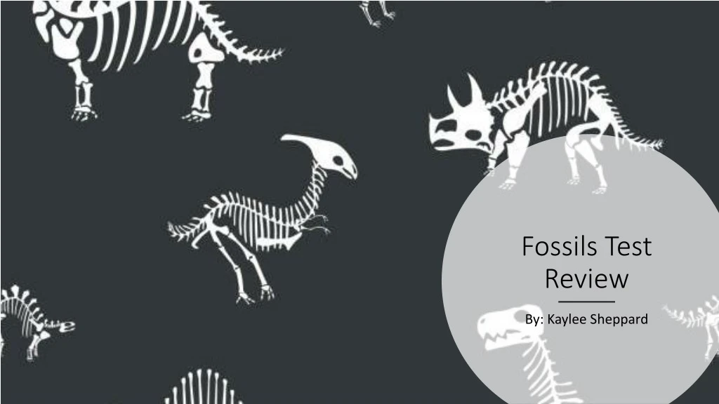 fossils test review