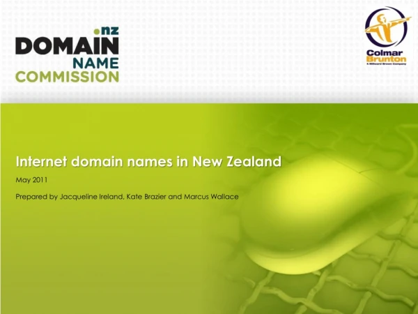 Internet domain names in New Zealand