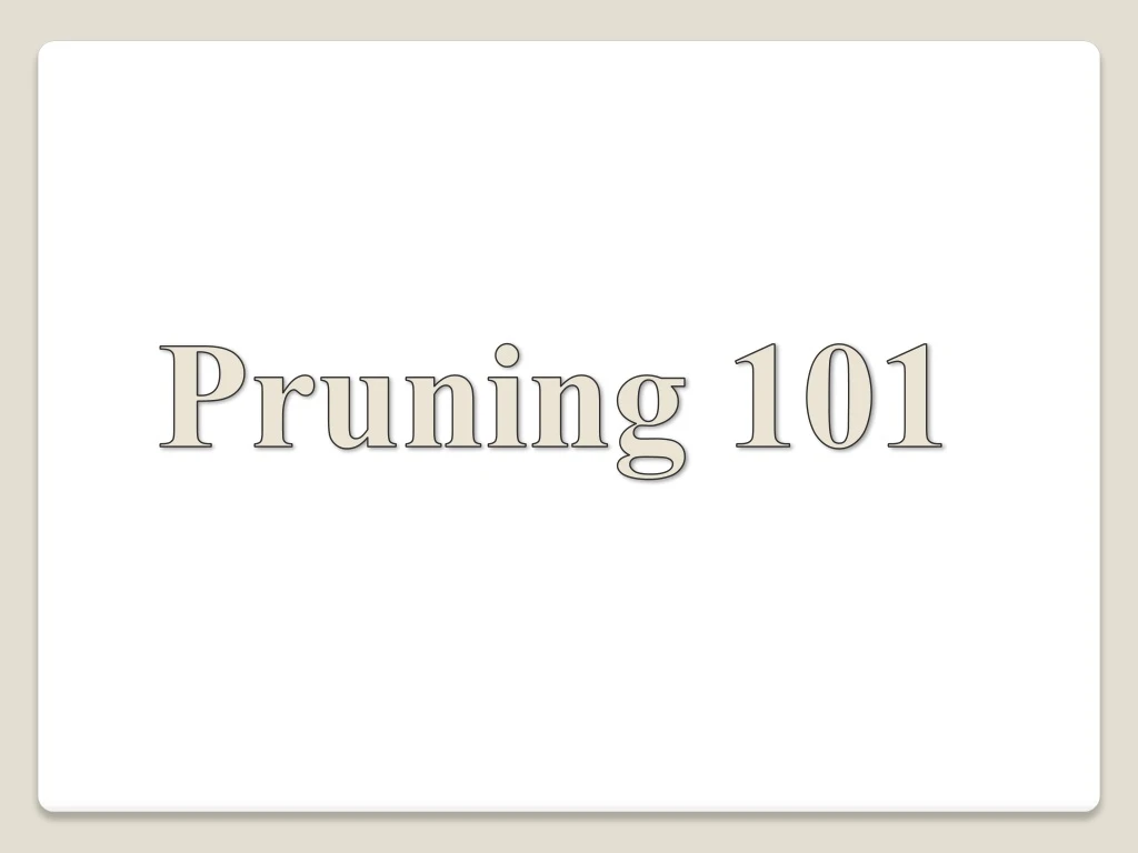pruning 101
