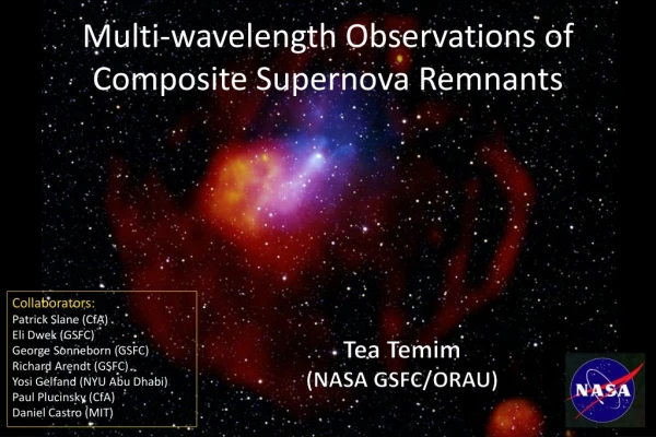 Multi-wavelength Observations of Composite Supernova Remnants