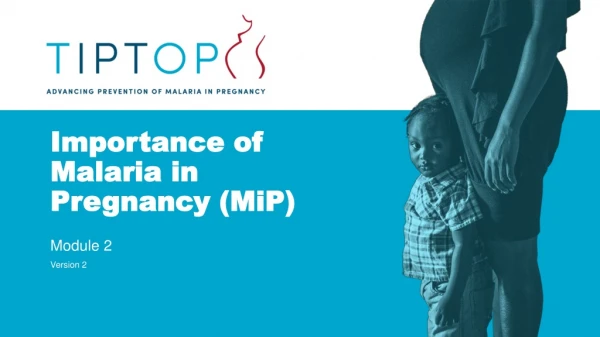 Importance of Malaria in Pregnancy ( MiP )