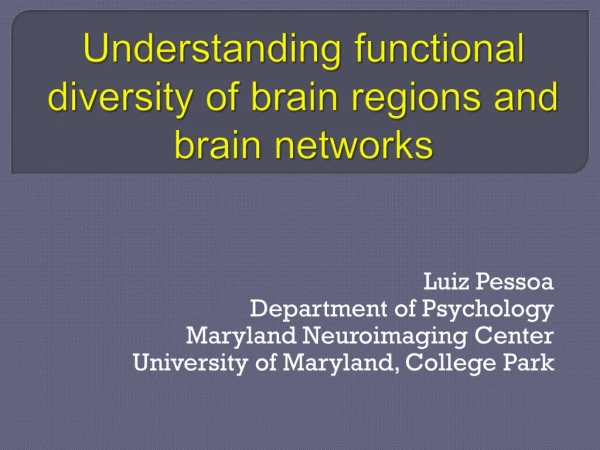 Understanding functional diversity of brain regions and brain networks