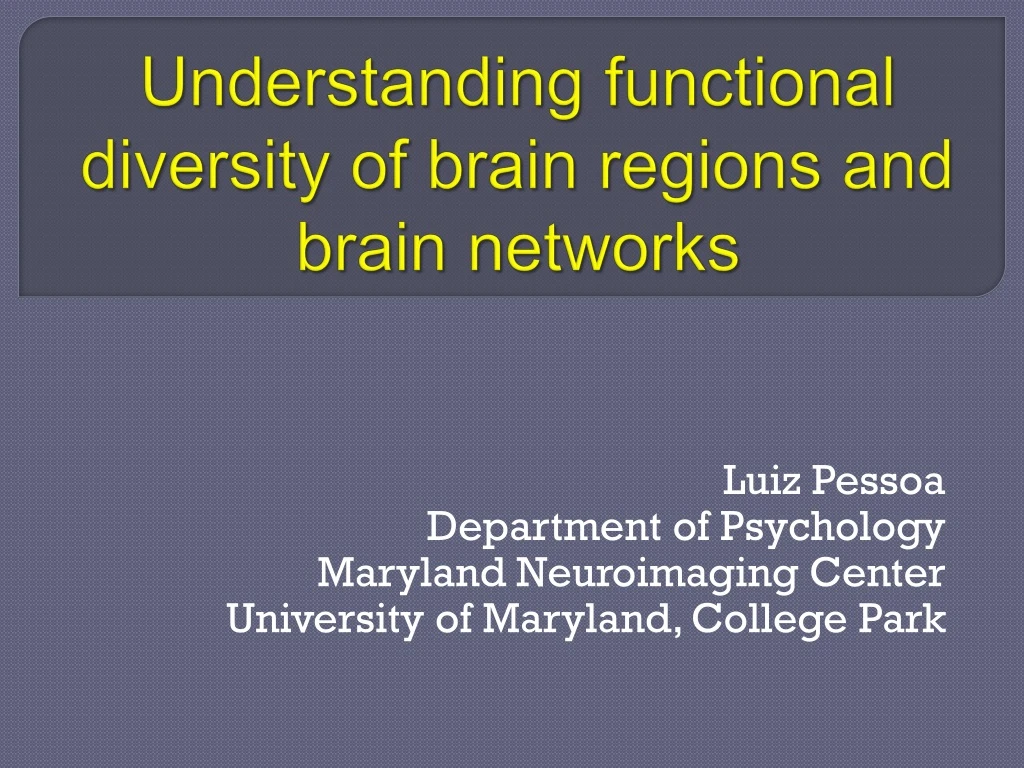 understanding functional diversity of brain regions and brain networks