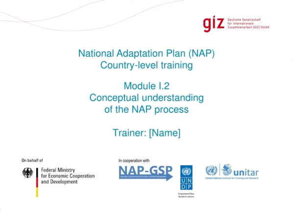 Module I.2 Conceptual understanding of the NAP process Trainer: [Name]
