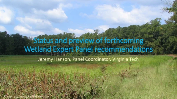 Status and preview of forthcoming Wetland Expert Panel recommendations