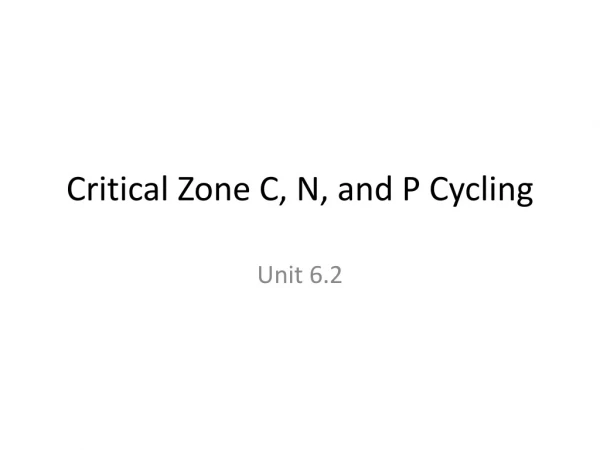 Critical Zone C, N, and P Cycling