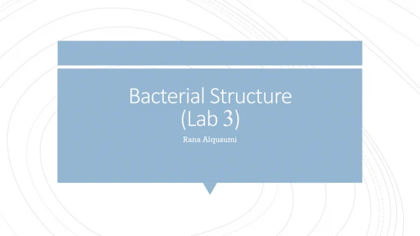 Bacterial Structure (Lab 3 )