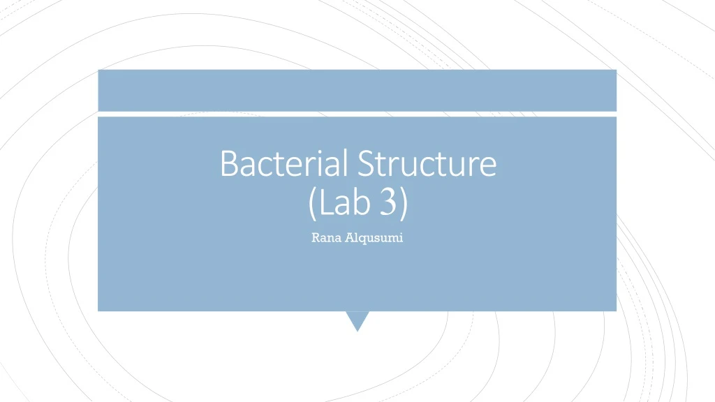 bacterial structure lab 3