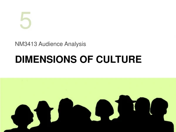 NM3413 Audience Analysis