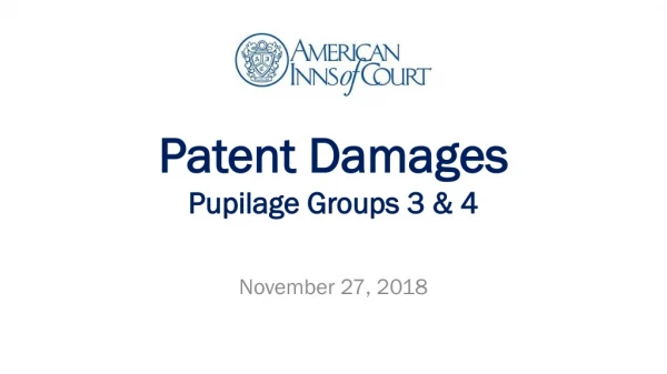 Patent Damages Pupilage Groups 3 &amp; 4