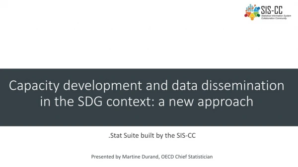 Capacity development and data dissemination in the SDG context: a new approach