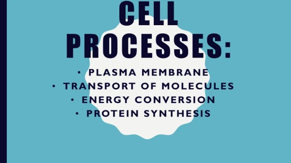Cell processes: