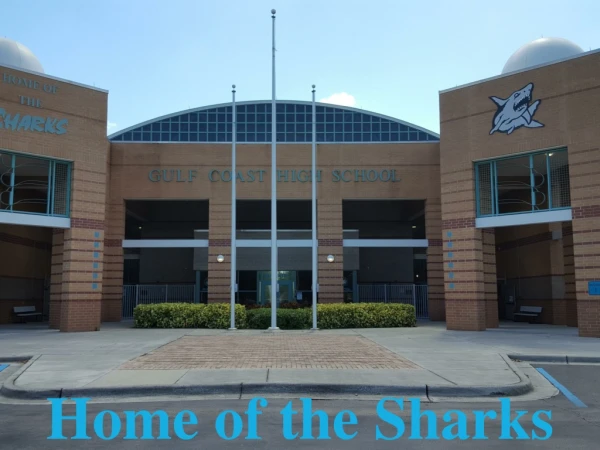 Home of the Sharks
