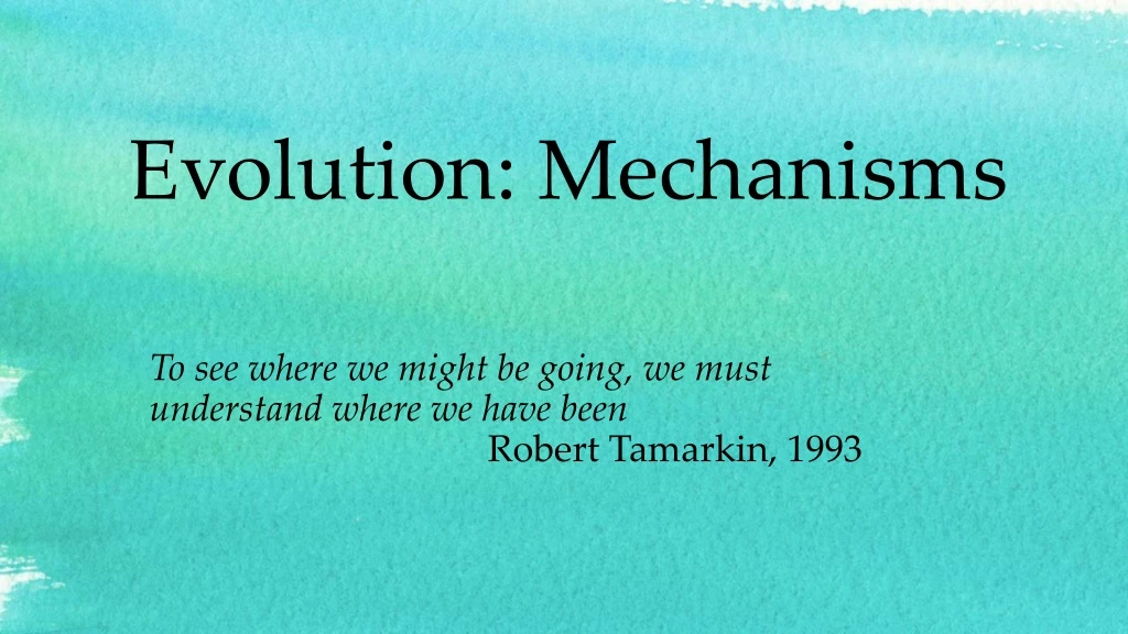 evolution mechanisms