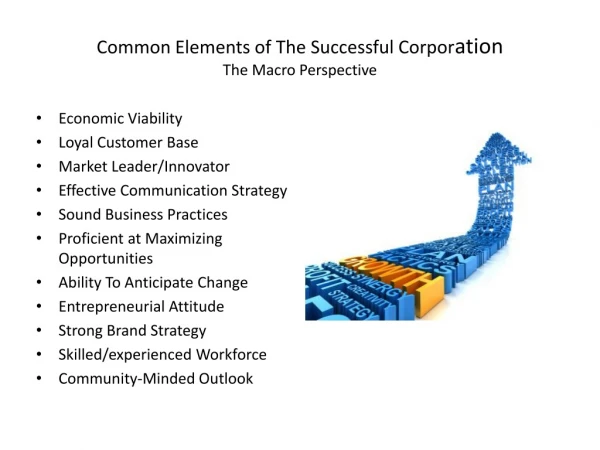 Common Elements of The Successful Corpor ation The Macro Perspective
