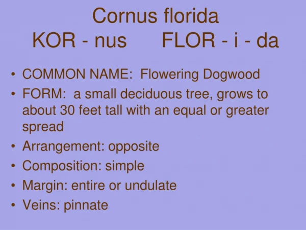 Cornus florida KOR - nus FLOR - i - da
