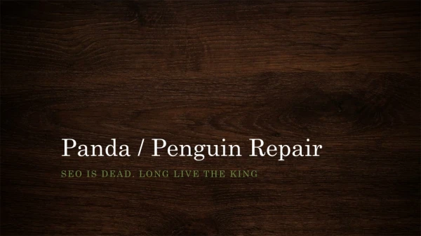 Panda / Penguin Repair