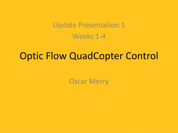 Optic Flow QuadCopter Control