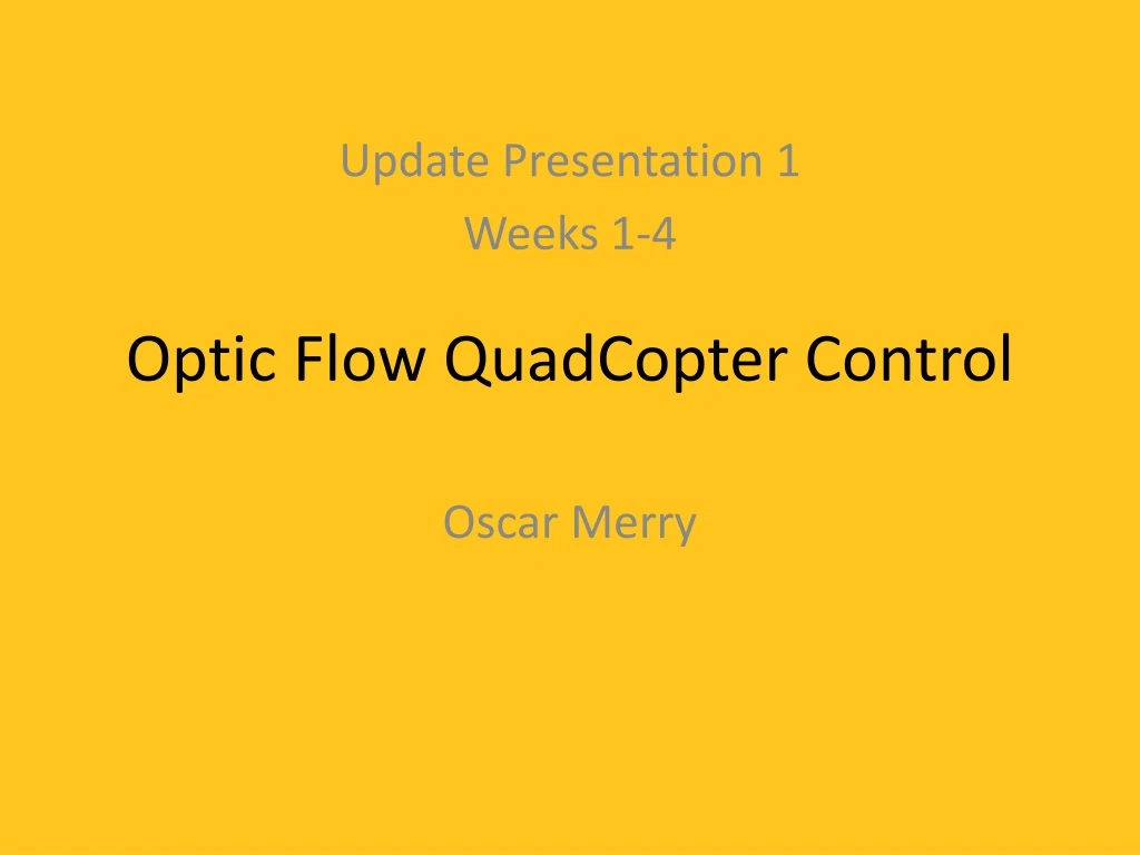 optic flow quadcopter control