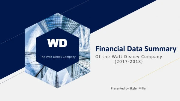 Financial Data Summary