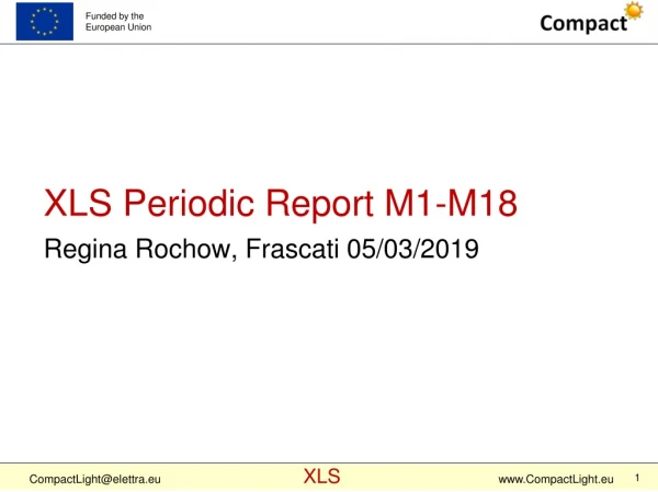 XLS Periodic Report M1-M18