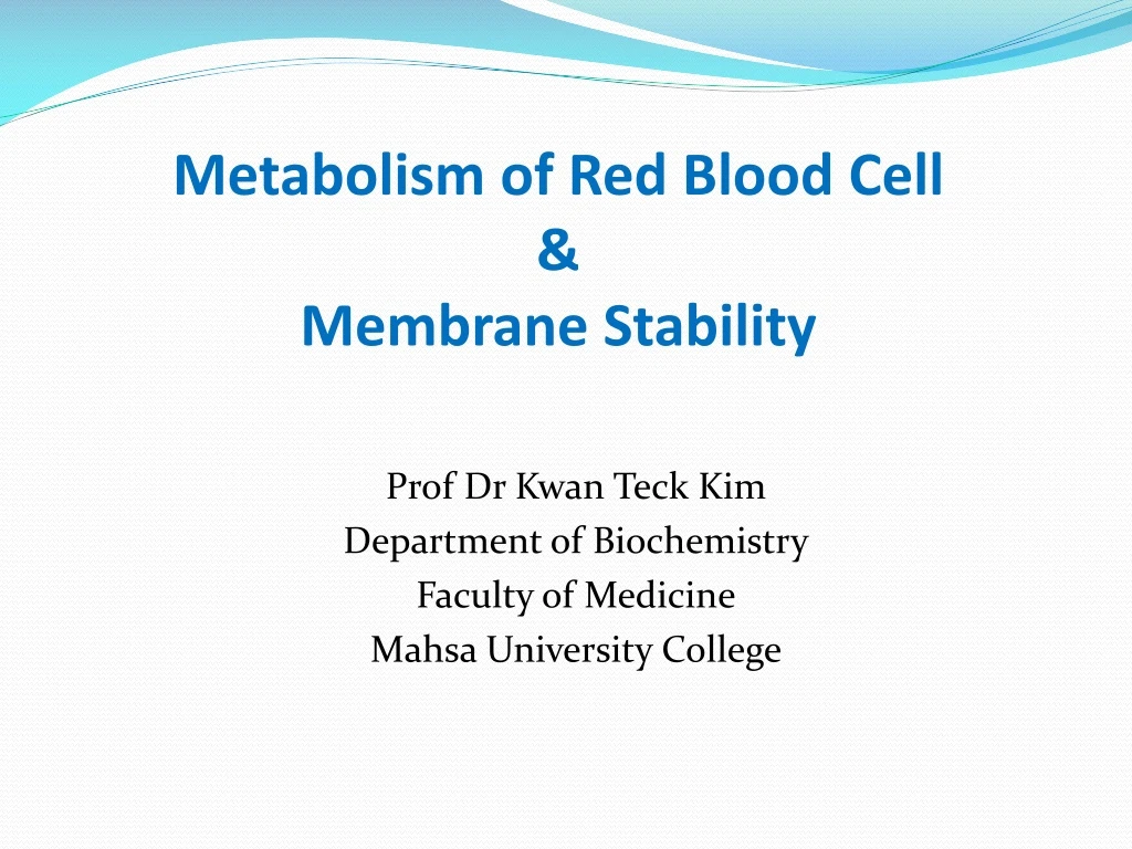 metabolism of red blood cell membrane stability