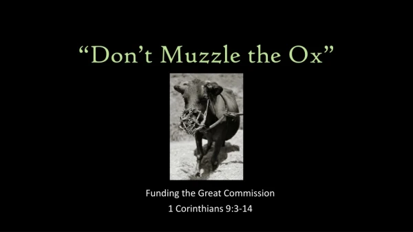 “Don’t Muzzle the Ox”
