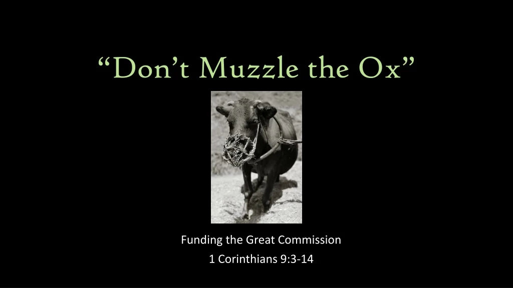 don t muzzle the ox