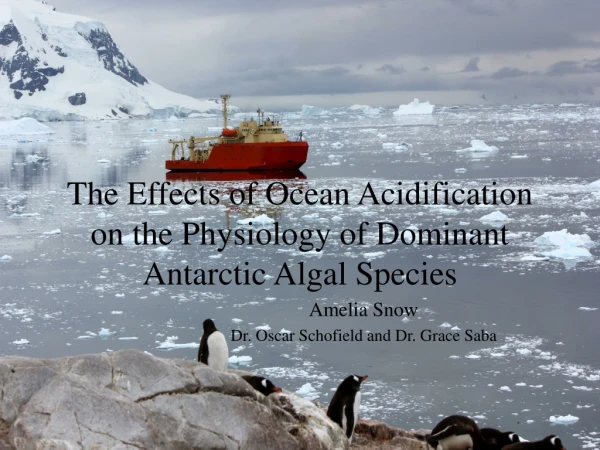 The Effects of Ocean Acidification on the Physiology of Dominant Antarctic Algal Species
