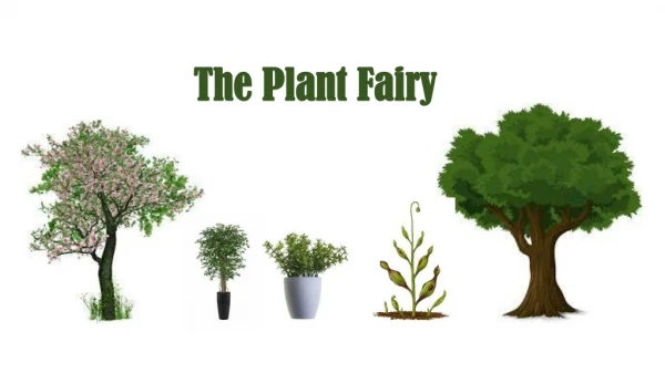 The Plant Fairy