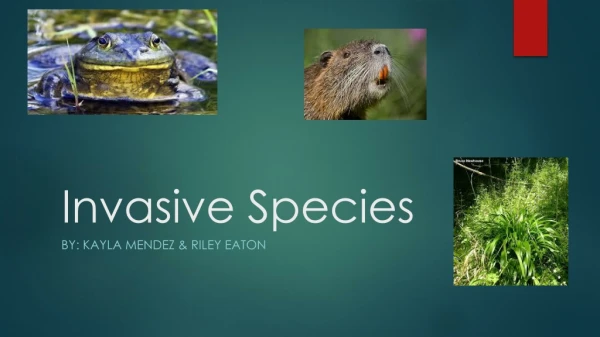 Invasive Species