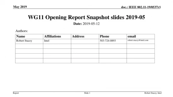 WG11 Opening Report Snapshot slides 2019-05
