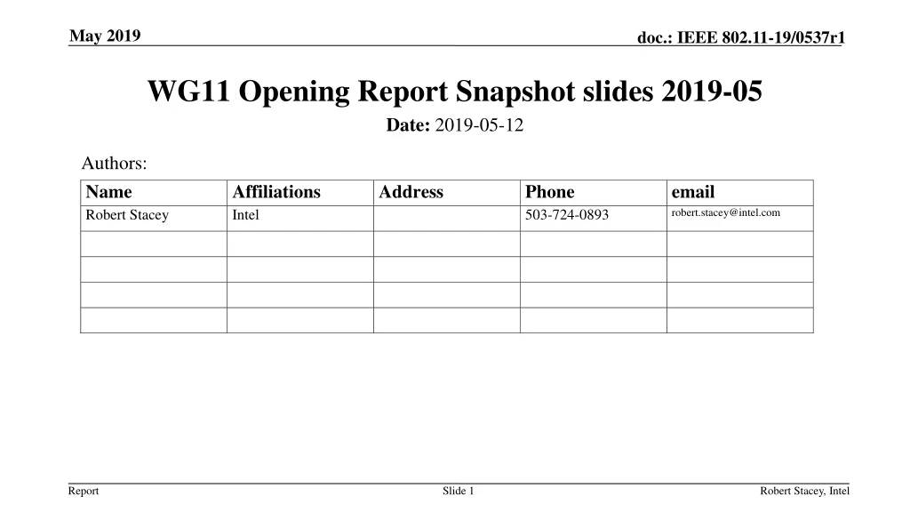 wg11 opening report snapshot slides 2019 05